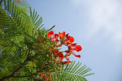 《心灵杀手2》将有更开放的地区 支持自由探索